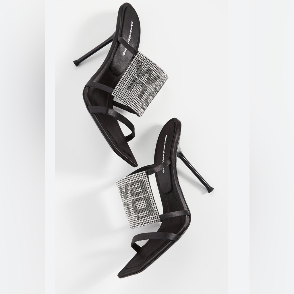 Alexander Wang Heels BrandNew Never Worn